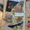 lisas_pgs