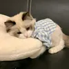 quynhahhne