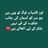 adeel.sanam