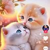 nimra.bashir411