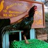 .admfarm