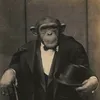 king_minetov
