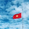 nguoicondatviet7