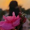 fariya.sorkar6