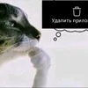 idealni_sobytilnik