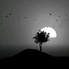 im.althaf