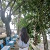 mi_llie09