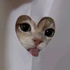 aya_al908