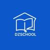 dzschool.online