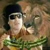 user3254736505124