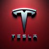 TESLA MOTORS