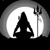 zenvibesdaily444