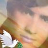 mohammad.hafez970
