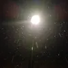 rozdajemy.na.live