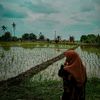 mutiara.812