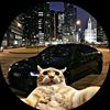 franco_cedano