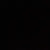 farah_6279988