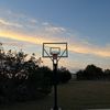 noah_wagz