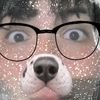 iyicatt