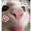 jesh_120513