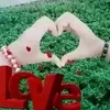 gizehalal6
