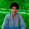 muhammad.qasim5369