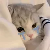 taoonm