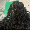 biigcess52