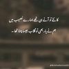 mubashirali21915