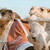 nasser.naif5