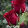 user9615950406240