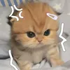 thuylinh_blackpink_moi