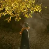 huynh.anh969