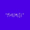 self.maximize