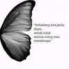 arek.celep