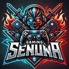 gaming.senuwa