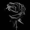 slmna_lfrs
