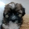 kicia12308