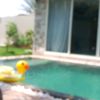 user87955333019836