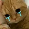 nlinh_103