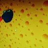 cheeseescape47