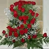 bashair.hikmat.al