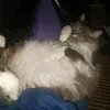 nicolas.kallew