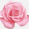 user8110493562317