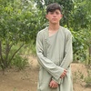 mujtaba.sadat1