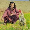 Asad Aseel