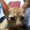 ktfly__19590__gmail