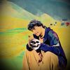 kingsafi231