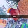 user2718184637303ukasha