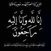 user3080105161803